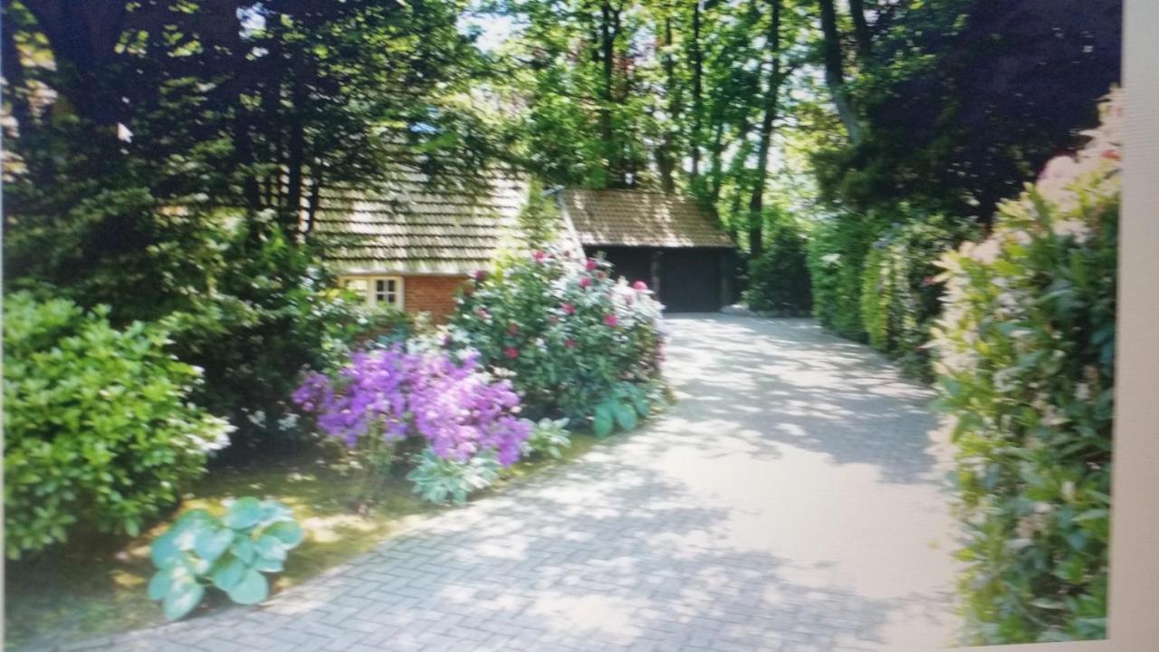Ferienwohnung Morgensonne ヴェスターシュテーデ エクステリア 写真