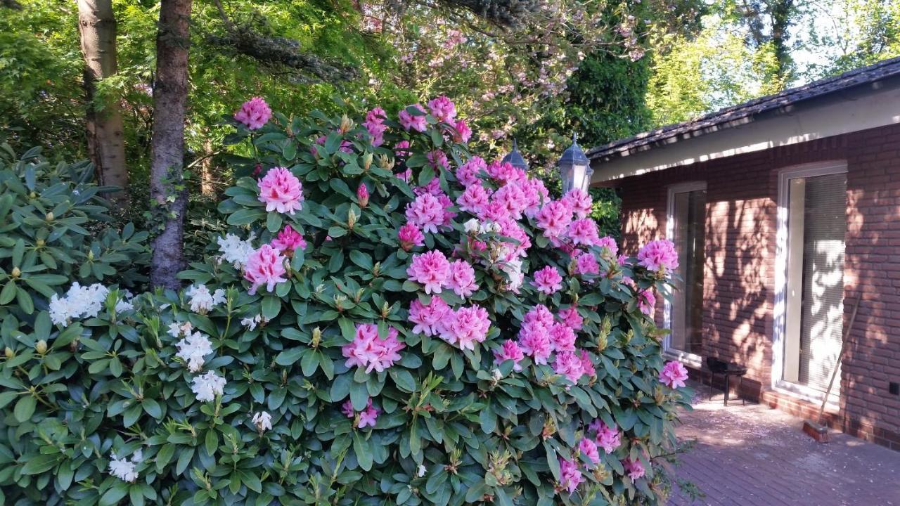 Ferienwohnung Morgensonne ヴェスターシュテーデ エクステリア 写真