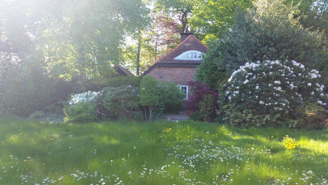 Ferienwohnung Morgensonne ヴェスターシュテーデ エクステリア 写真