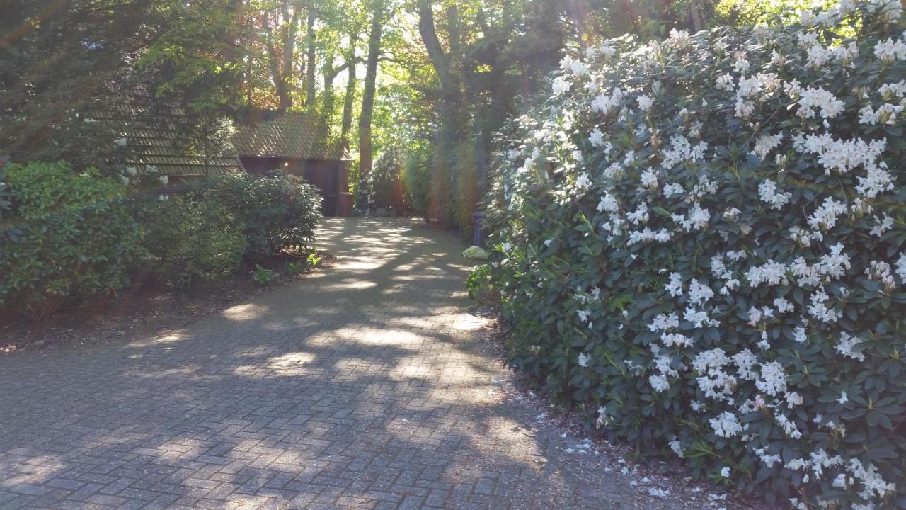 Ferienwohnung Morgensonne ヴェスターシュテーデ エクステリア 写真